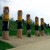 Geelong’s waterfront bollards and some public art.